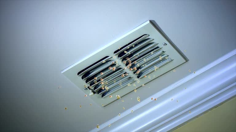 Best Air Duct Cleaning Near Me  in Carthage, IL
