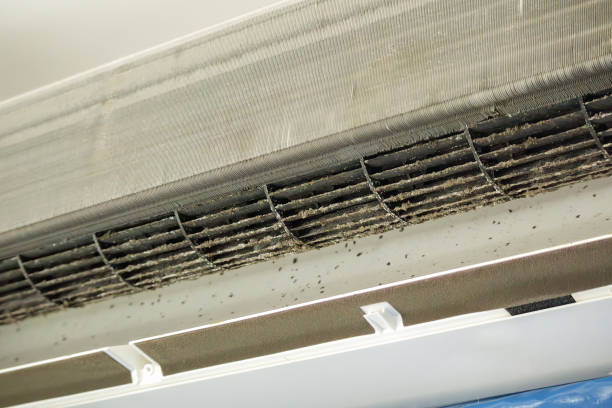 Best Affordable HVAC Duct Cleaning  in Carthage, IL
